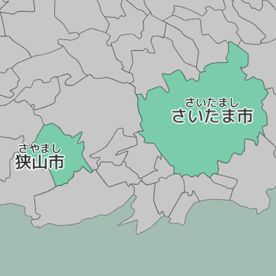 Enjoy Learning Saitama Map Puzzle