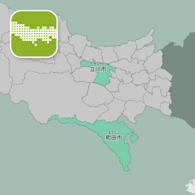 Enjoy Learning Tokyo Map Puzzle
